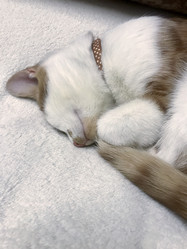 Similar image 21701770