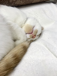 Similar image 21701771