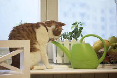 Similar image 21701772