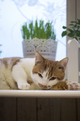 Similar image 21701775