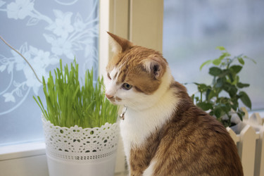 Similar image 21701777