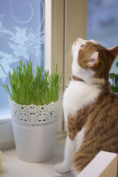 Similar image 21701778