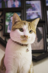 Similar image 21701792