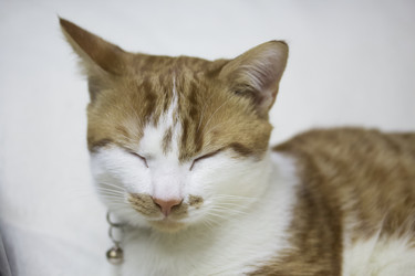 Similar image 21701793