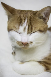 Similar image 21701794