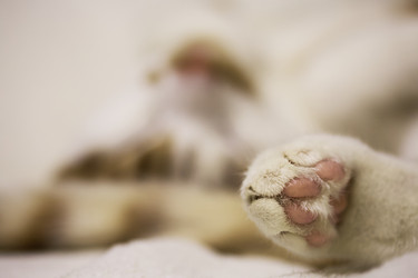 Similar image 21701797