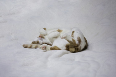 Similar image 21701799