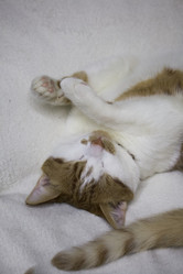 Similar image 21701800