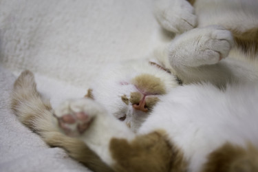 Similar image 21701803