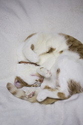 Similar image 21701804