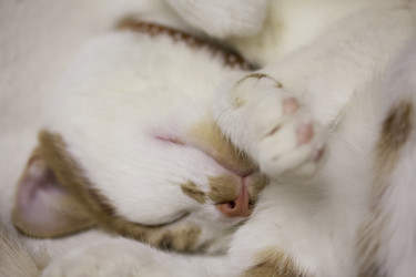 Similar image 21701805