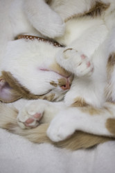 Similar image 21701806