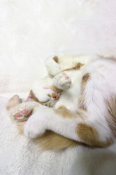 Similar image 21701814