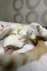 Similar image 21701816