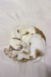 Similar image 21701817