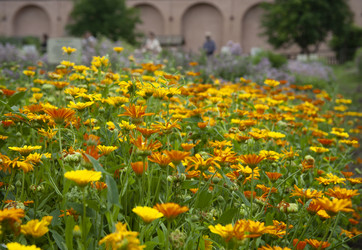 Similar image 21697076