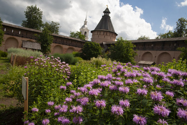 Similar image 21697085