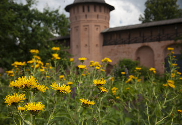 Similar image 21697087