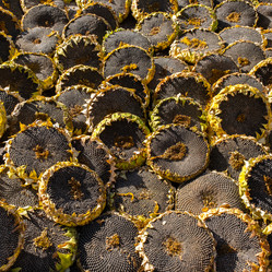 Similar image 21697448