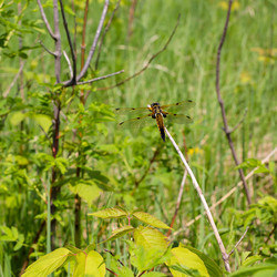 Similar image 21697264