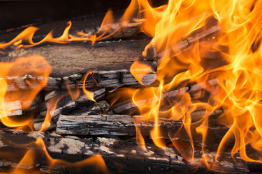 Similar image 21697610