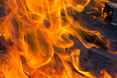 Similar image 21697612