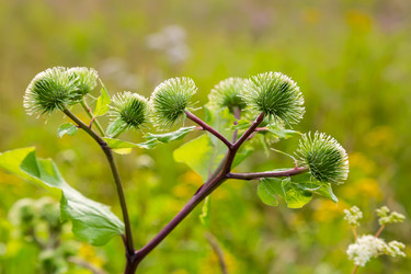 Similar image 21697616