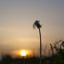 Similar image 21697617