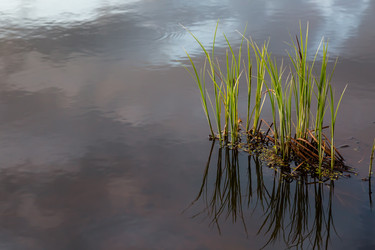 Similar image 21697618