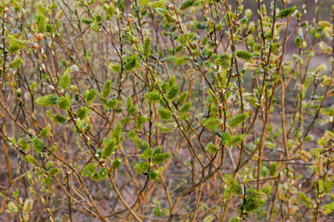 Similar image 21697619