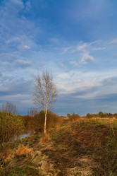 Similar image 21697621