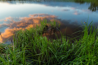 Similar image 21697625