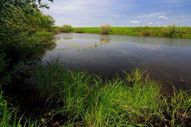 Similar image 21697626