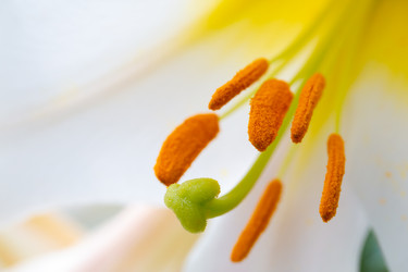 Similar image 21697628