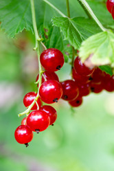 Similar image 21697133