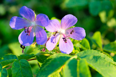 Similar image 21697134