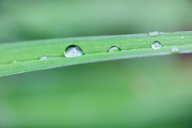 Similar image 21697135