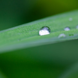 Similar image 21697136