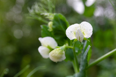 Similar image 21697137