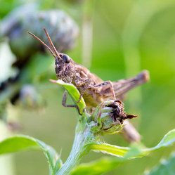 Similar image 21697138