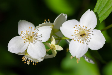 Similar image 21697139