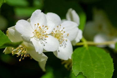 Similar image 21697140