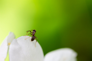 Similar image 21697142