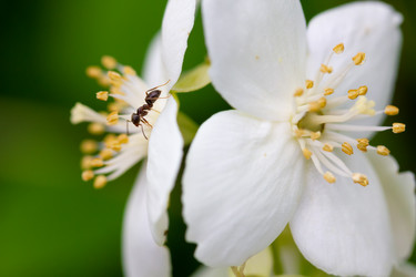 Similar image 21697143