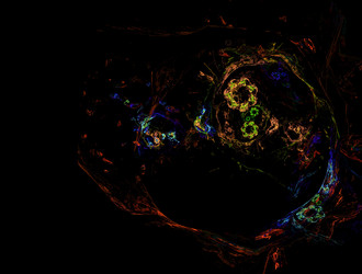 Similar image 21698574