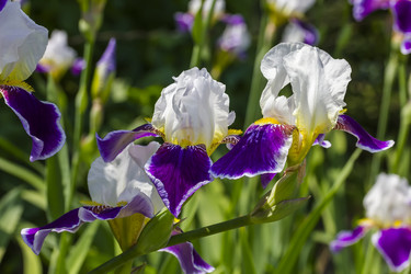 Similar image 21697783