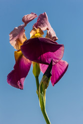 Similar image 21697144