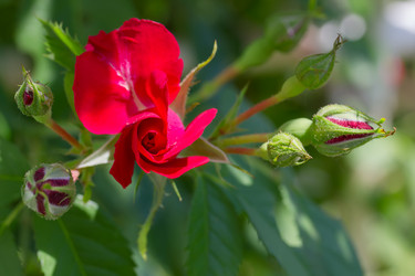 Similar image 21697145