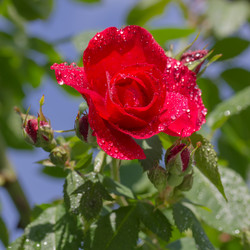 Similar image 21697146