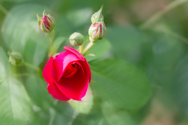 Similar image 21697147